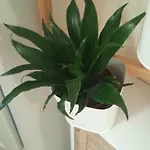 Apartamento Badia Modena
